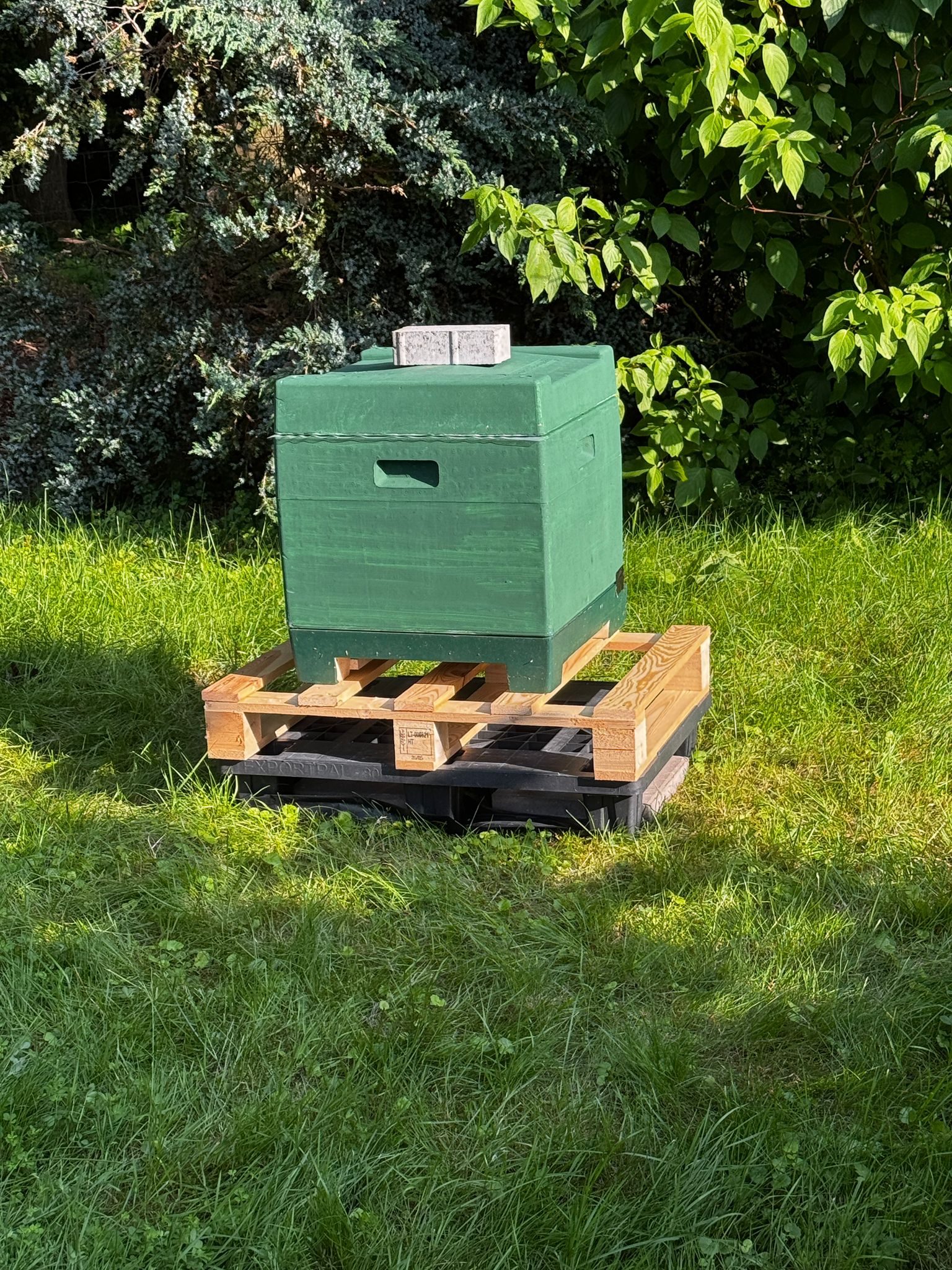 Unser Bienenprojekt